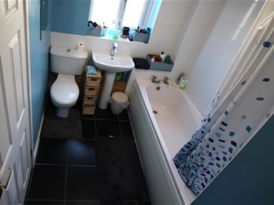 Picture 7